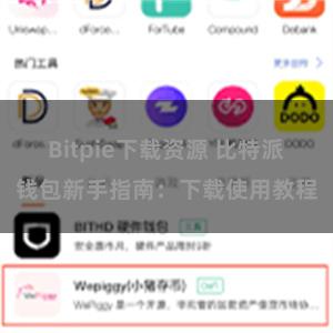 Bitpie下载资源 比特派钱包新手指南：下载使用教程