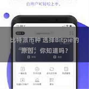 比特派币种 选择Bitpie的原因，你知道吗？