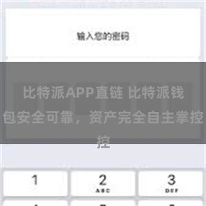 比特派APP直链 比特派钱包安全可靠，资产完全自主掌控