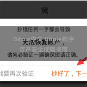 Bitpie中文 Bitpie数字资产安全保障指南