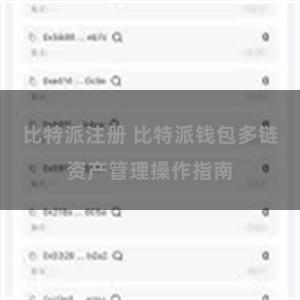 比特派注册 比特派钱包多链资产管理操作指南