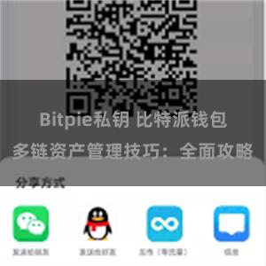 Bitpie私钥 比特派钱包多链资产管理技巧：全面攻略