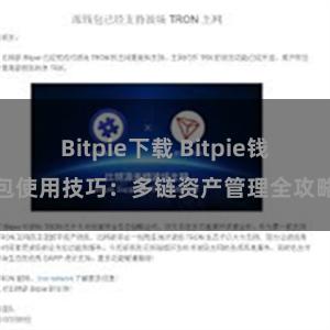 Bitpie下载 Bitpie钱包使用技巧：多链资产管理全攻略