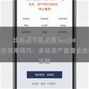 比特派下载免费 Bitpie钱包使用技巧：多链资产管理全攻略