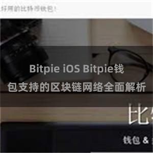 Bitpie iOS Bitpie钱包支持的区块链网络全面解析