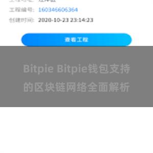 Bitpie Bitpie钱包支持的区块链网络全面解析