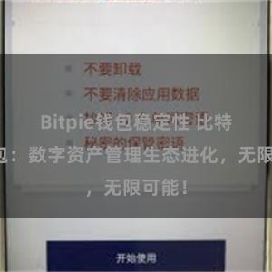 Bitpie钱包稳定性 比特派钱包：数字资产管理生态进化，无限可能！