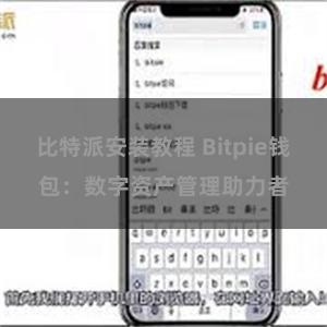 比特派安装教程 Bitpie钱包：数字资产管理助力者