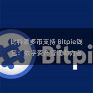 比特派多币支持 Bitpie钱包：数字资产管理助力者