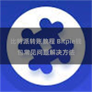 比特派转账教程 Bitpie钱包常见问题解决方法