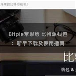 Bitpie苹果版 比特派钱包：新手下载及使用指南