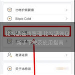 比特派在线管理 比特派钱包：新手下载及使用指南