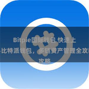 Bitpie国际钱包 快速上手比特派钱包，多链资产管理全攻略