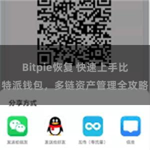 Bitpie恢复 快速上手比特派钱包，多链资产管理全攻略