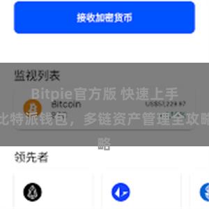 Bitpie官方版 快速上手比特派钱包，多链资产管理全攻略