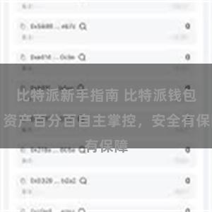 比特派新手指南 比特派钱包：资产百分百自主掌控，安全有保障