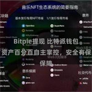 Bitpie提现 比特派钱包：资产百分百自主掌控，安全有保障