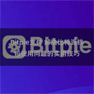 Bitpie支付 解决比特派钱包使用问题的实用技巧