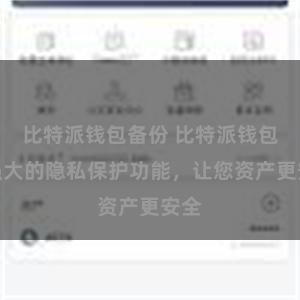 比特派钱包备份 比特派钱包：强大的隐私保护功能，让您资产更安全
