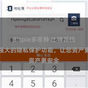 Bitpie多币种 比特派钱包：强大的隐私保护功能，让您资产更安全