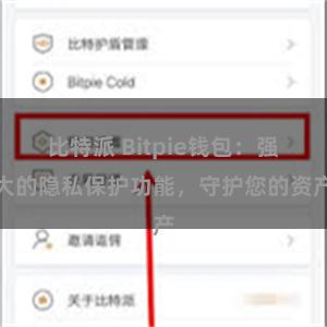 比特派 Bitpie钱包：强大的隐私保护功能，守护您的资产