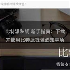 比特派私钥 新手指南：下载并使用比特派钱包必知事项