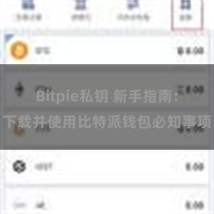 Bitpie私钥 新手指南：下载并使用比特派钱包必知事项