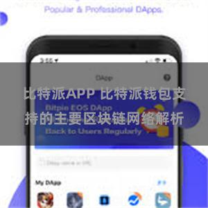 比特派APP 比特派钱包支持的主要区块链网络解析