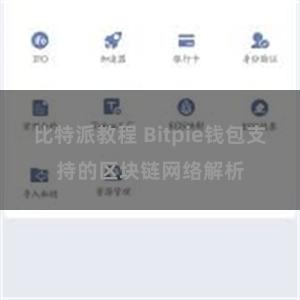 比特派教程 Bitpie钱包支持的区块链网络解析