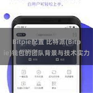 Bitpie配置 比特派(Bitpie)钱包的团队背景与技术实力