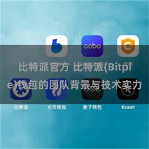 比特派官方 比特派(Bitpie)钱包的团队背景与技术实力