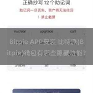 Bitpie APP安装 比特派(Bitpie)钱包有哪些隐藏功能？