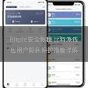 Bitpie安全教程 比特派钱包用户隐私保护措施详解