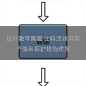 比特派苹果版 比特派钱包用户隐私保护措施详解