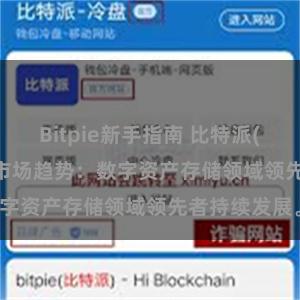 Bitpie新手指南 比特派(Bitpie)钱包市场趋势：数字资产存储领域领先者持续发展。