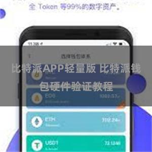 比特派APP轻量版 比特派钱包硬件验证教程