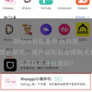 Bitpie钱包备份 比特派钱包数据保护研究：用户隐私安全得到充分保障吗？