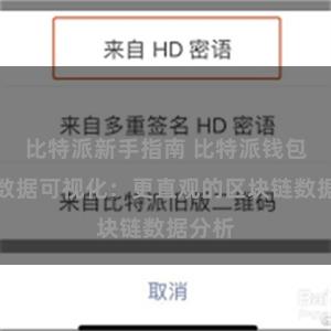 比特派新手指南 比特派钱包链上数据可视化：更直观的区块链数据分析