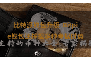 比特派钱包升级  Bitpie钱包还撑捏多种考据时势