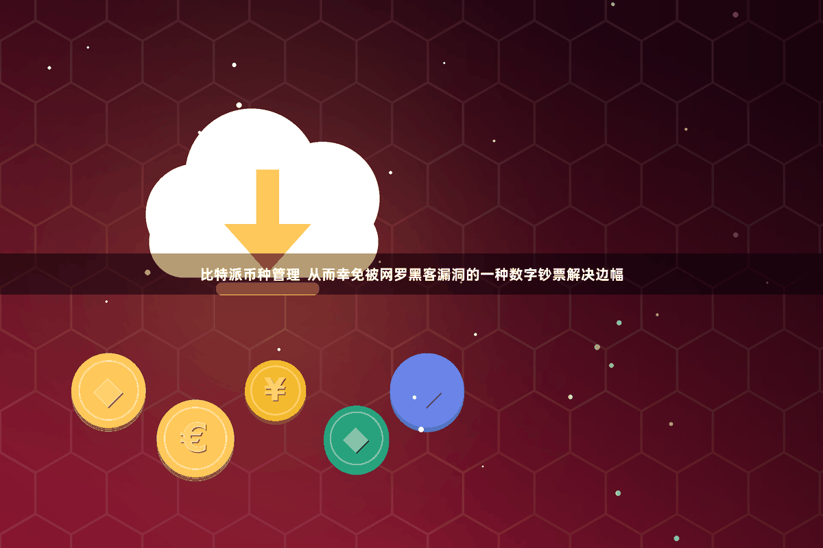 比特派币种管理 从而幸免被网罗黑客漏洞的一种数字钞票解决边幅